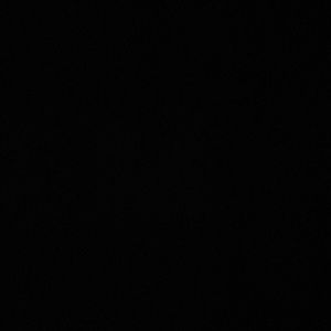 Meet your Posher, Charli